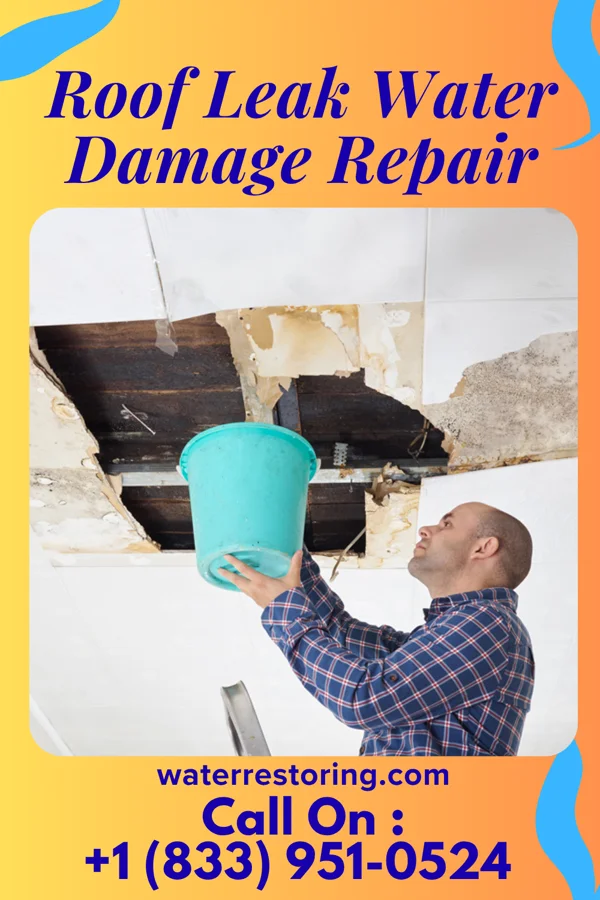 Roof Leak Water Damage Repair in Moorcroft, WY